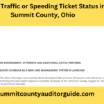 Check Traffic or Speeding Ticket Status