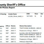 summit county ohio jail mugshot